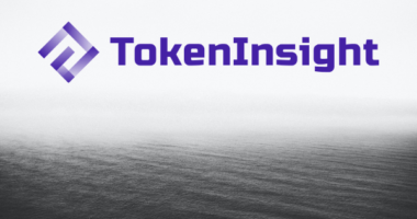 TokenInsight