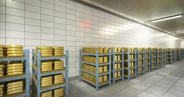 DGLD Token Holders Can Now Redeem Physical Gold