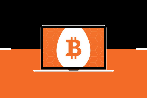 Bitcoin IRA Launches A New Crypto IRA Knowledge Center