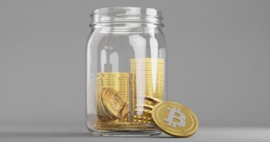 Bitcoin Search Volume Hits Peak Popularity