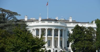 Biden Could Affiliate With Gary Gensler Who Believes XRP Is A Security