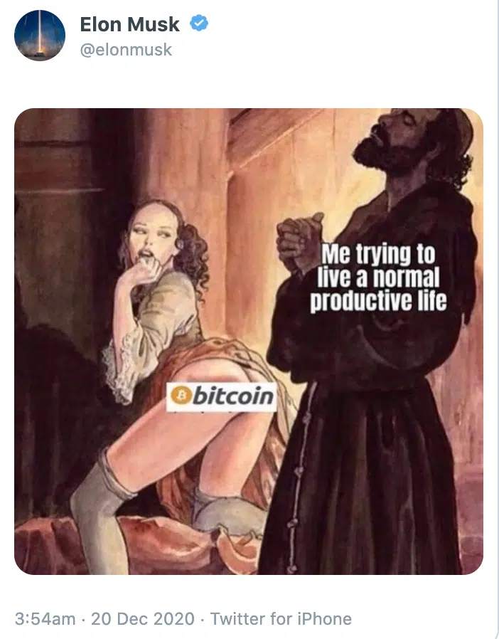 Elon Bitcoin Meme
