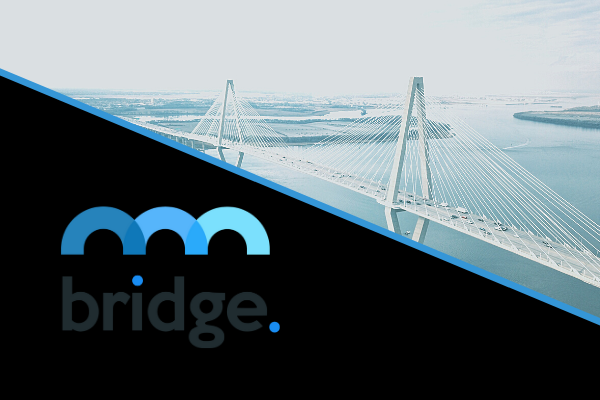 Bridge Mutual Partners With Plasma Finance For Decentralized Insurance On Blockchain