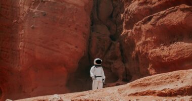 Elon Musk’s Tweets Cause Marscoin To Soar 1800%