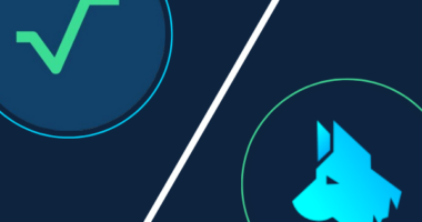 StakeHound Liquidity Staking Integrates Radix Ahead Of Betanet Launch