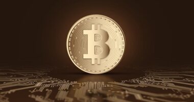 Bitcoin Price All Time High