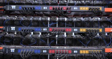 Bitfarms Is The First Authorized MicroBT Canadian Service Center