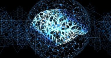 Surging Cryptocurrency Demand & New Developments In Attaining Digital Assets