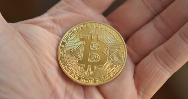 How To Get A Bitcoin Wallet