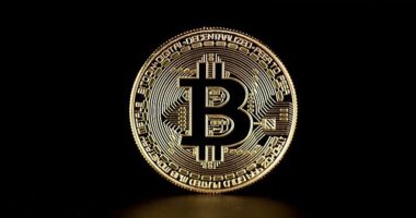 Bitcoin Price Rejects Key Support - What You Should Watch Next