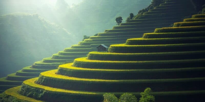 How "Green" is Chia's Proof of Space Protocol?