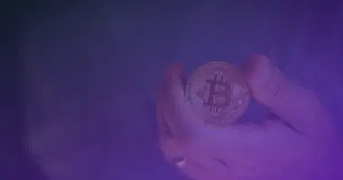 Automate Your Way Of Doing Trading Now With Haru Invest