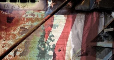 How Crypto Group Almost Bought US Constitution