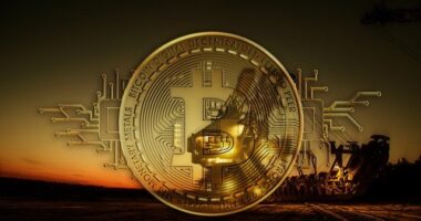 Famous Hollywood Actress Invests In Bitcoin Mining