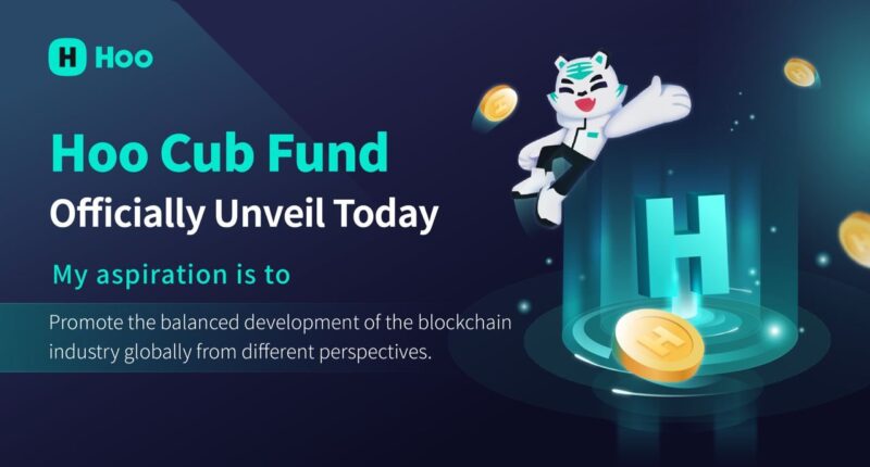 Hoo Establishes Hoo Cub Fund, Continuously To Pave The Way For Globalization