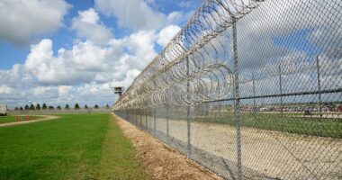 Virgil Griffith Jailed for Attending North Korean Crypto Summit