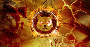 Major US Bitcoin Operator Adds Shiba Inu Support