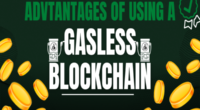 The Advantages of Using a Gasless Blockchain