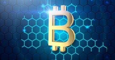 what are bitcoins used for