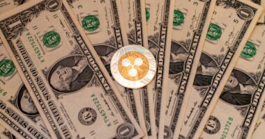 Partnership Initiative by Solana Foundation, Ripple, and GBBC