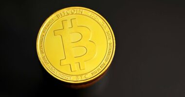 NFTs on Bitcoin: An In-Depth Analysis of Ordinals' Launch