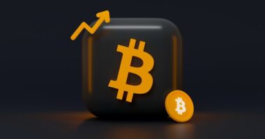 Cryptocurrency Wallet Development