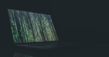 Which is not a disadvantage of symmetric cryptography?