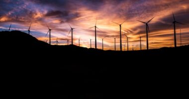 How Can Features of Blockchain Support Sustainability Efforts