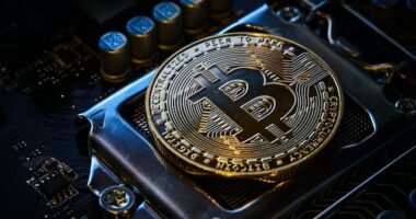 Excavator Crypto Mining