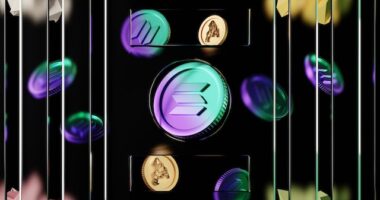 Solana NFT Marketplace: The Next Big Thing in Digital Art