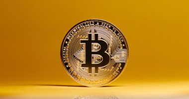 What Are Bitcoin Miner Hardware Codes and How Do They Work?