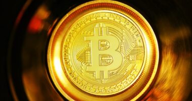 Popular Crypto Casinos in USA