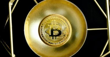 Exploring the Impact of the Bitcoin Emoji: A Modern Twist to Cryptocurrency Communication