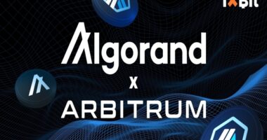 1xBit Rockets into the Future: Welcoming Algorand and Arbitrum as Novel Deposit Methods!