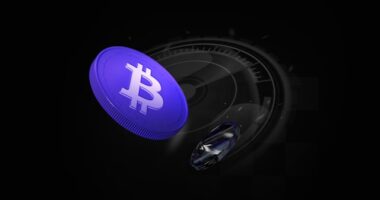 crypto-legacy.app software