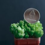What Is the Difference Between Ethereum Blobs and Calldata?